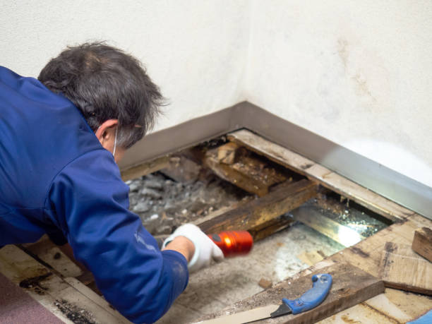 Best Bathroom Mold Remediation in Mccaysville, GA