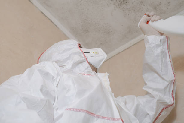 Best Mold Remediation for Schools in Mccaysville, GA